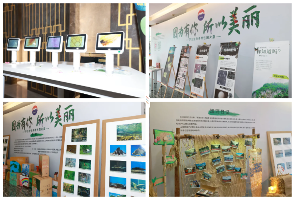 QQ截图20240604232947