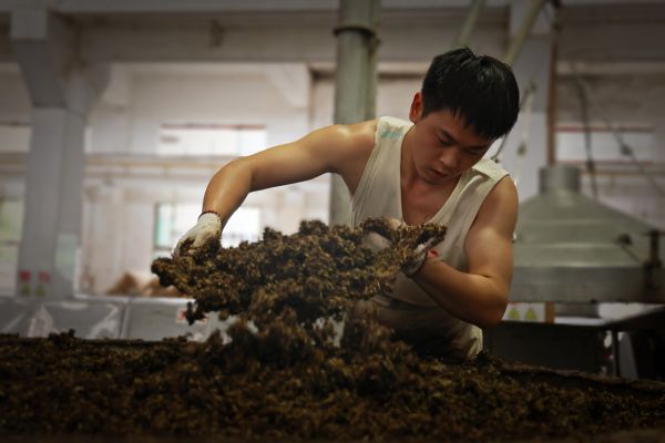 6bacfa5dd0461ede374791dc674a8ed