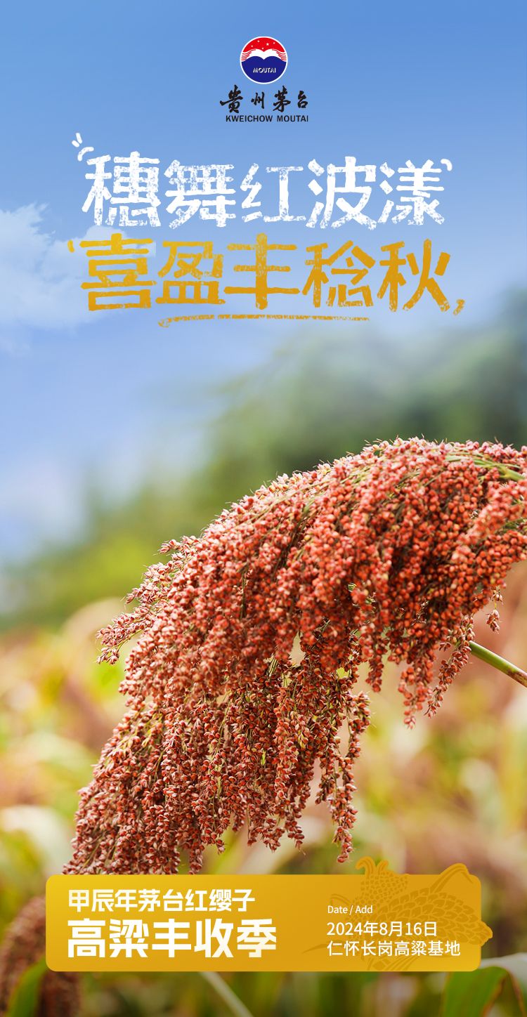 茅台高粱节-态度海报丰收场景1