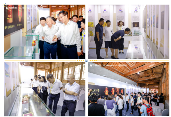 QQ截图20240818225347