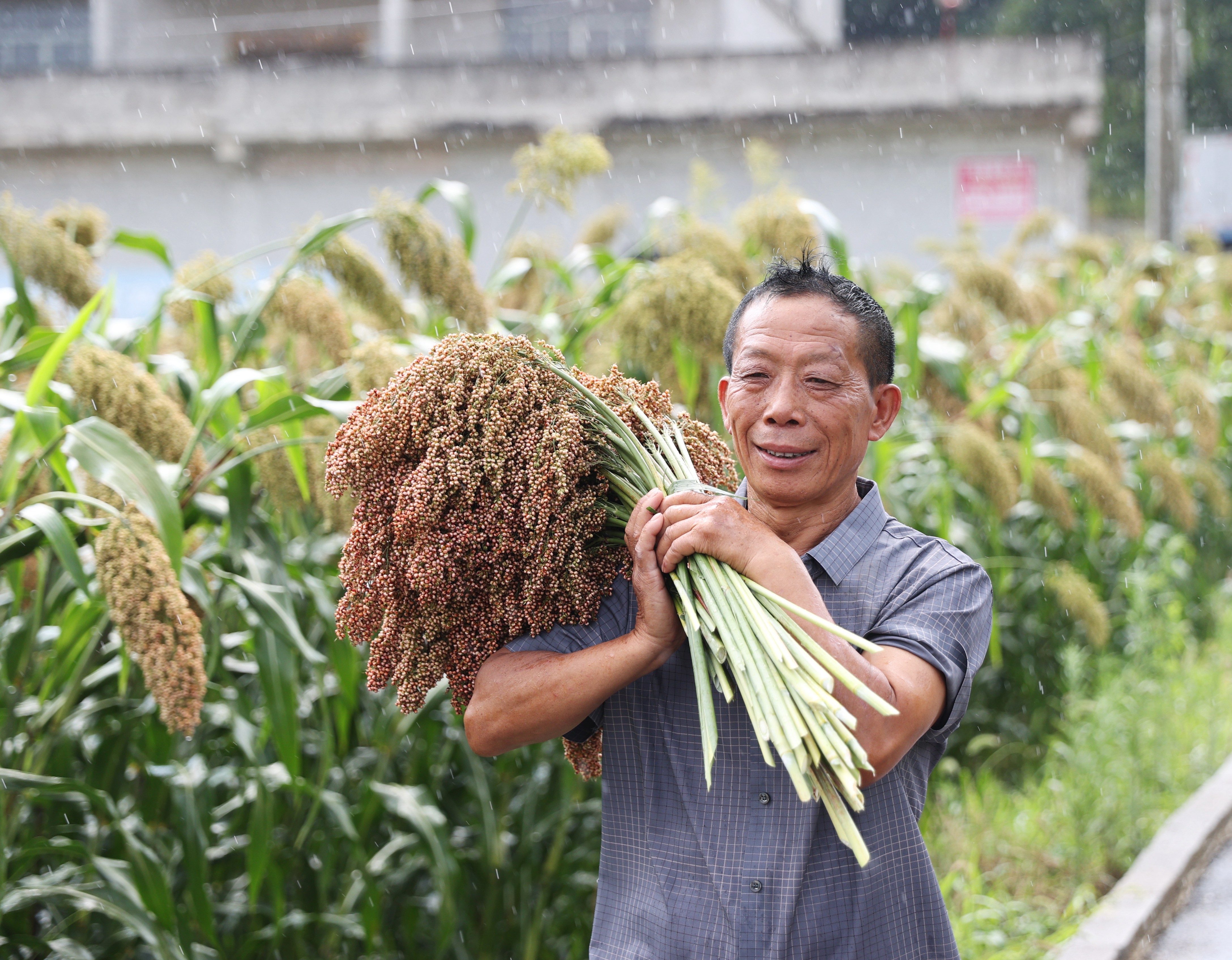 赤河穗浪记·第一回｜岩缝生红：茅坡村的石地诗行