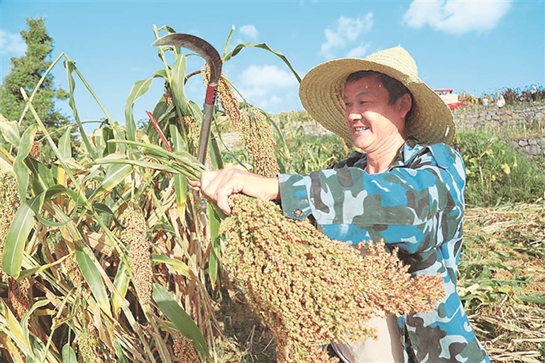 赤河穗浪记·第三回｜仓廪春秋：粮仓深处的时光匠艺