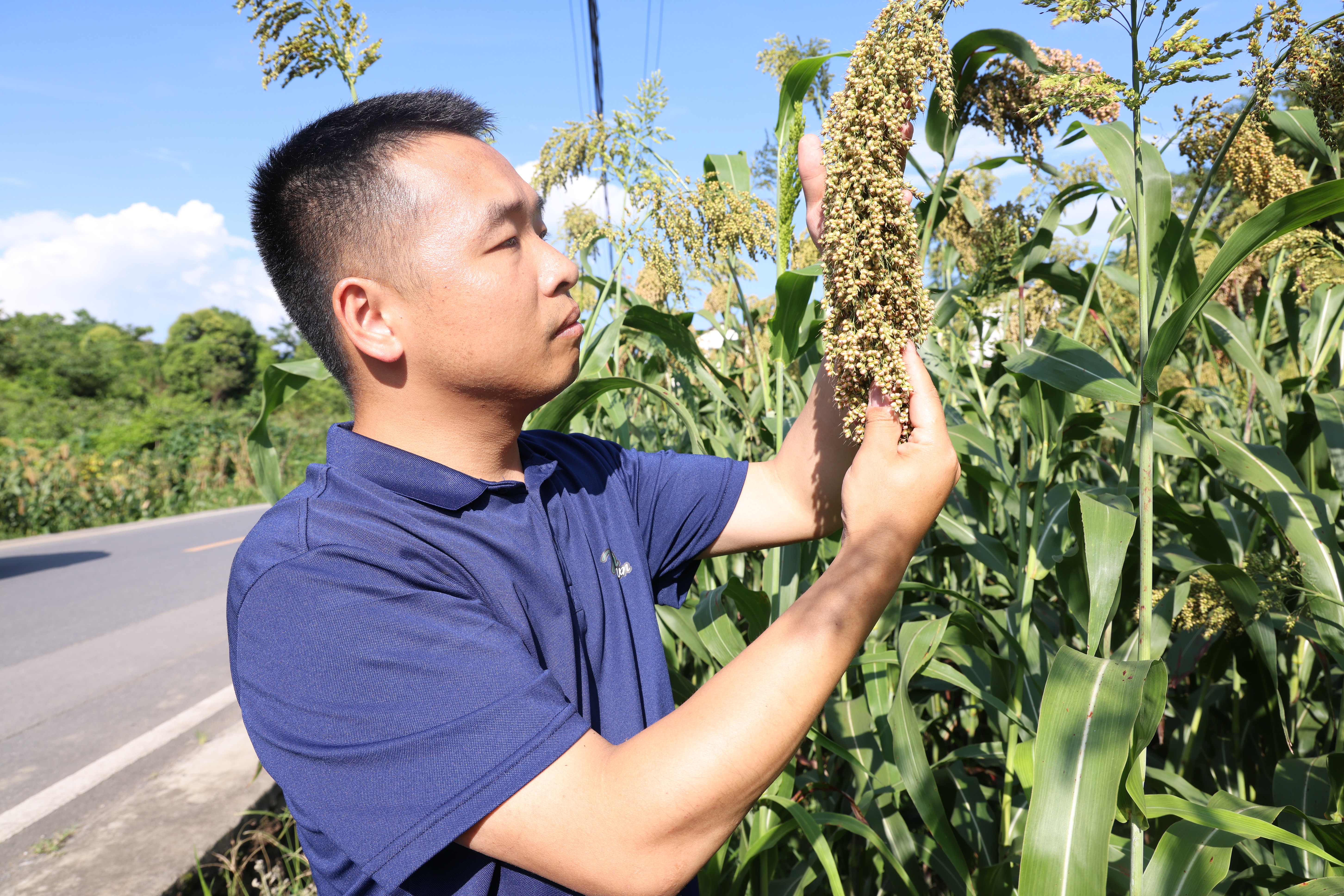 【茅台追光者】彭海文：十三载质检路，用匠心与科技筑牢原料品质防线