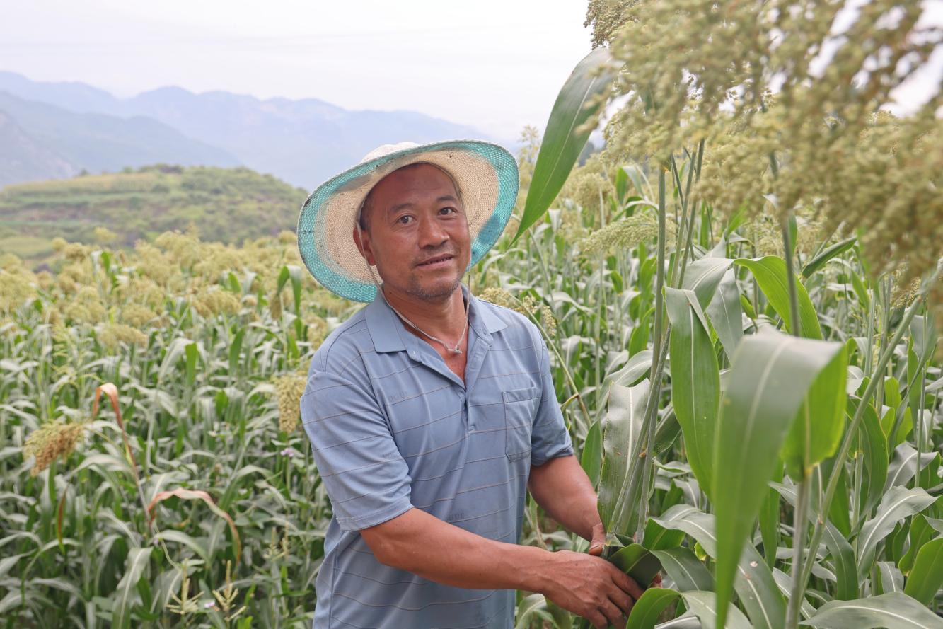 【匠心粱农】赵益生：“红高粱”铺就四世同堂幸福路