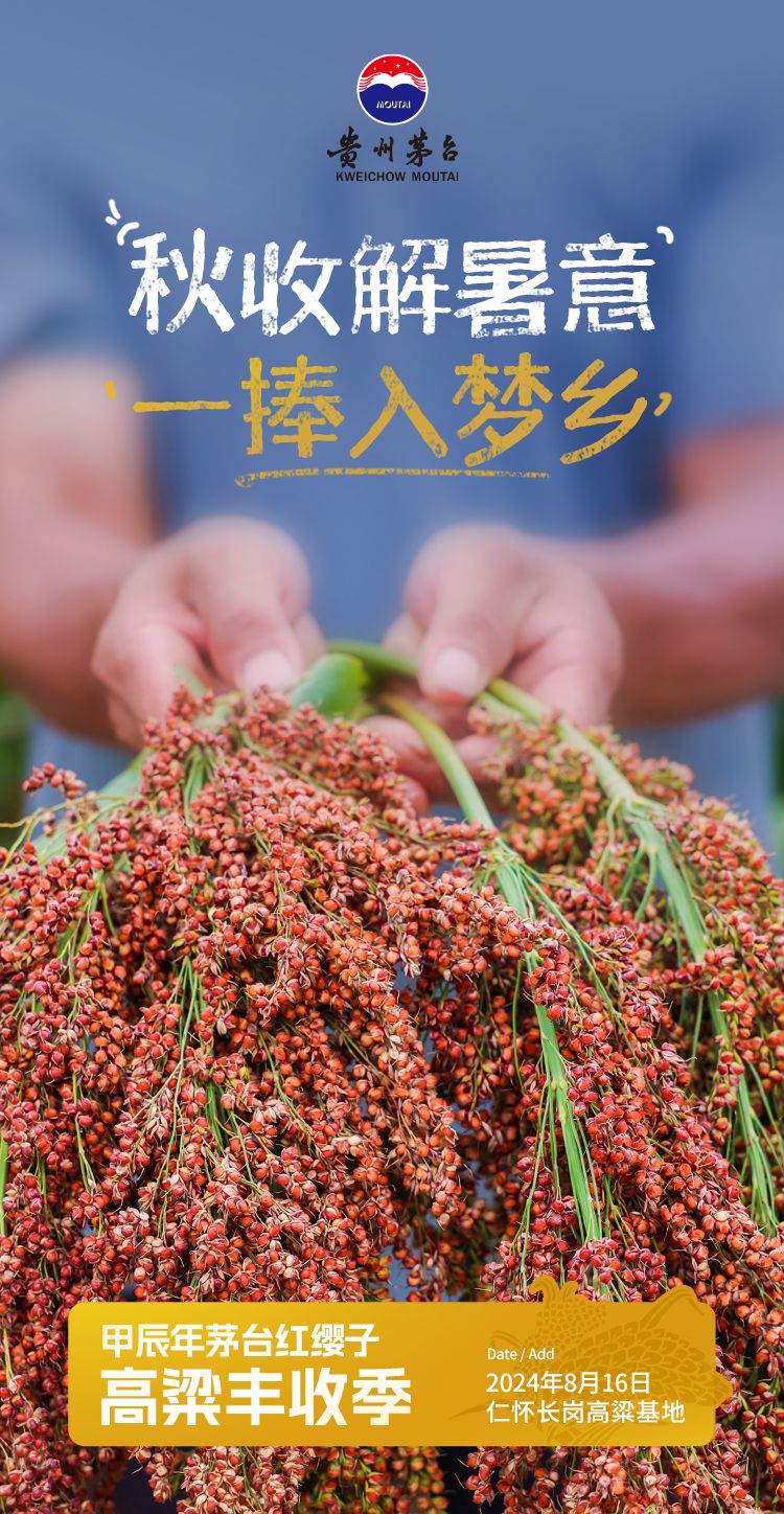 茅台高粱节-态度海报丰收场景3