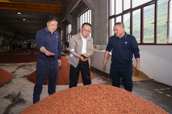 爱茅台封面 爱茅台封面