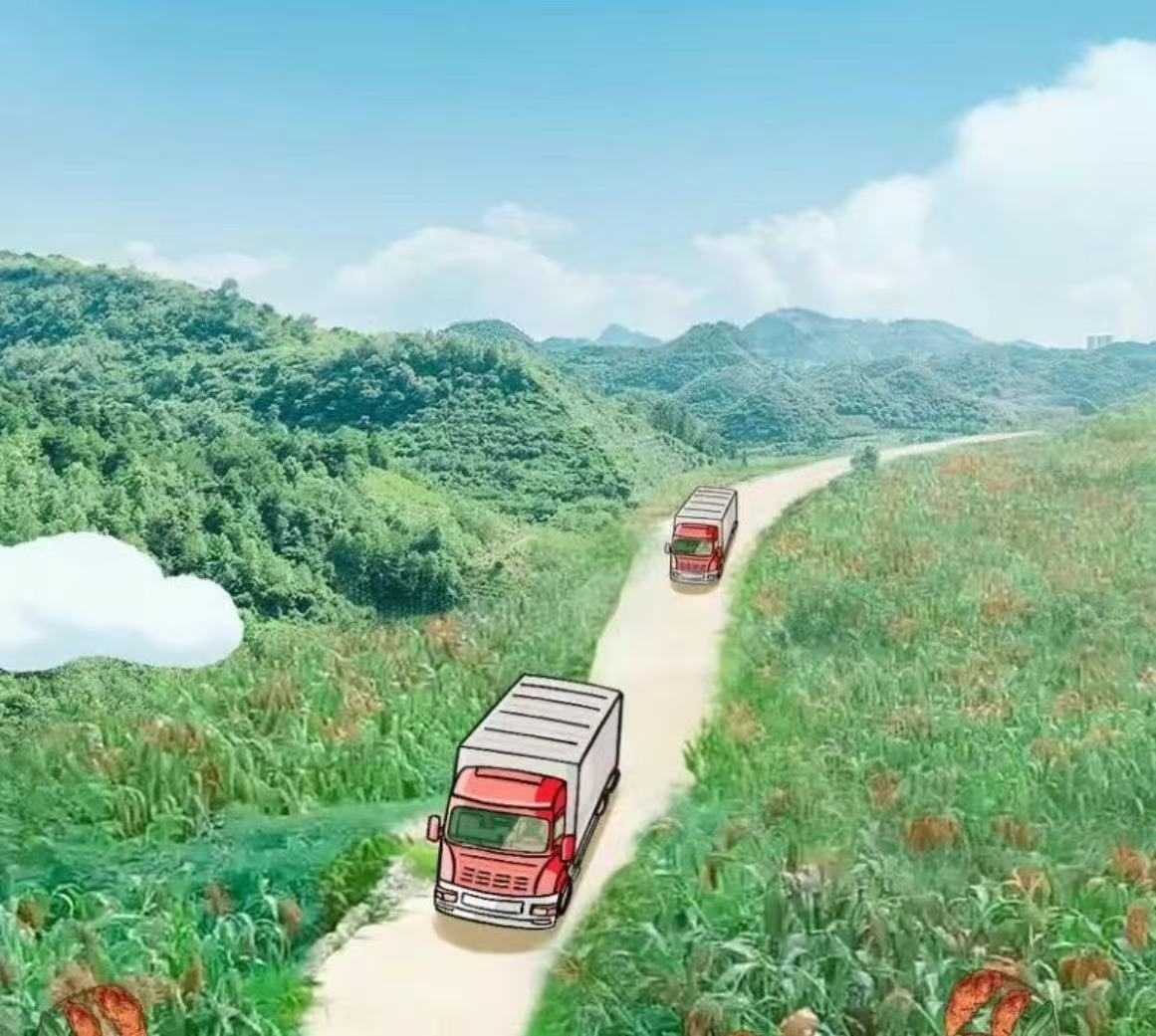 红缨子：一粒高粱“顶流”的成名之路