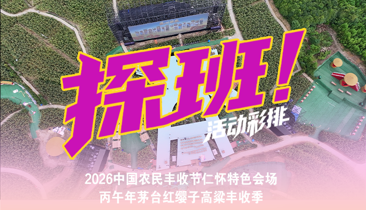 实地探班 抢先一睹丰收季现场